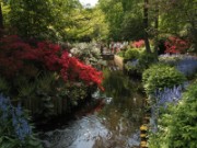 2009_05_10_010_amsterdam_keukenhof