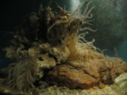 2009_09_21_a_10_02_005_trebeurden