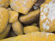 2009_09_21_a_10_02_113_trebeurden_ile_molene