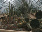 2009_10_17_009_serres_d_auteuil