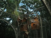 2009_10_17_015_serres_d_auteuil