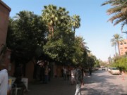 2009_11_25_023_maroc_marrakech_jardin_majorelle