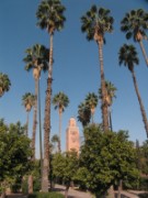 2009_11_26_080_maroc_marrakech_koutoubia