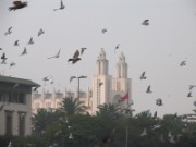 2009_11_27_018_maroc_casablanca_cathedrale