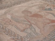 2009_11_28_062_maroc_volubilis