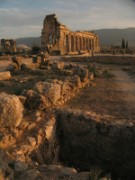 2009_11_28_087_maroc_volubilis