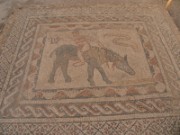 2009_11_28_090_maroc_volubilis