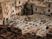 2009_11_29_068_maroc_fes_tanneries
