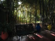 2009_12_02_002_maroc_marrakech_jardin_majorelle