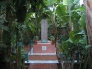 2009_12_02_009_maroc_marrakech_jardin_majorelle