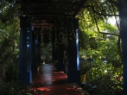 2009_12_02_016_maroc_marrakech_jardin_majorelle