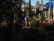 2009_12_02_045_maroc_marrakech_jardin_majorelle