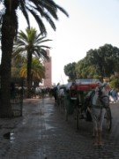 2009_12_02_057_maroc_marrakech_koutoubia