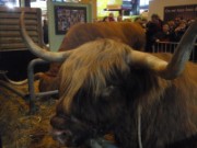 2010_03_05_018_salon_agriculture