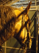 2010_03_05_036_salon_agriculture