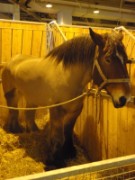 2010_03_05_038_salon_agriculture