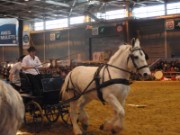 2010_03_05_041_salon_agriculture