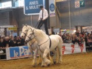 2010_03_05_042_salon_agriculture