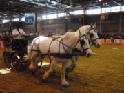 2010_03_05_044_salon_agriculture