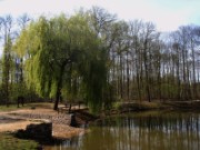 2010_04_25_rando_montmorency