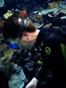 2010_11_02_012_aquarium_trocadero