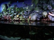 2010_11_02_020_aquarium_trocadero