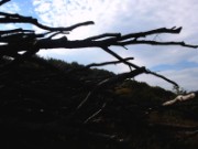 2010_10_22_au_25_we_rando_beaujolais