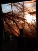 2011_01_10_006_bercy_cinematheque