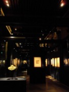 2011_06_24_expo_egide_de_mars