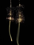 2012_02_24_004_expo_miniartextil