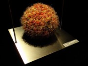 2012_02_24_007_expo_miniartextil