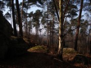 2012_03_25_006_randonnee_ermenonville_pierre_sorciere