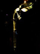 2012_08_03_012_expo_gaulois