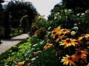 2012_08_04_006_parc_bagatelle