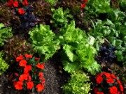 2012_08_04_014_parc_bagatelle