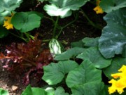 2012_08_04_015_parc_bagatelle