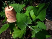 2012_08_04_019_parc_bagatelle