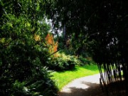 2012_08_04_020_parc_bagatelle