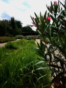 2012_08_04_022_parc_bagatelle