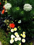 2012_08_04_023_parc_bagatelle