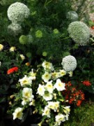 2012_08_04_024_parc_bagatelle