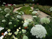 2012_08_04_025_parc_bagatelle