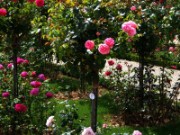 2012_08_04_028_parc_bagatelle