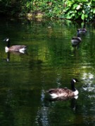 2012_08_04_033_parc_bagatelle