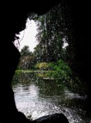 2012_08_04_040_parc_bagatelle