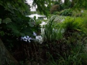 2012_08_04_043_parc_bagatelle