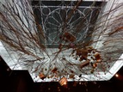 2012_08_04_049_parc_bagatelle