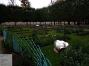 2012_10_19_015_fiac_tuileries