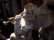 2013_05_25_007_les_puces