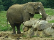 2013_06_23_012_ohm_thoiry